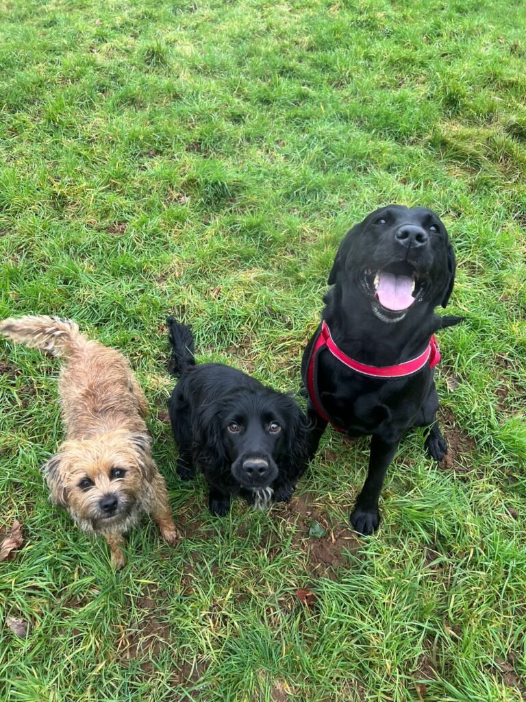 9afdaa3b 15ef 4e45 8da6 db164f5249d6