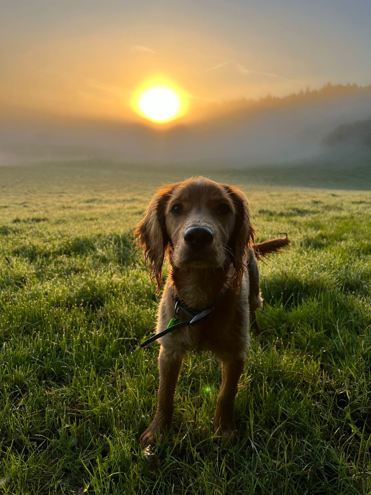 ffa0f6eb 9771 4295 b51d 720b96225bd7